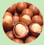 マカデミア種子油